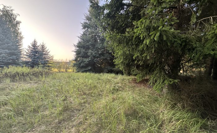 85654829_raw