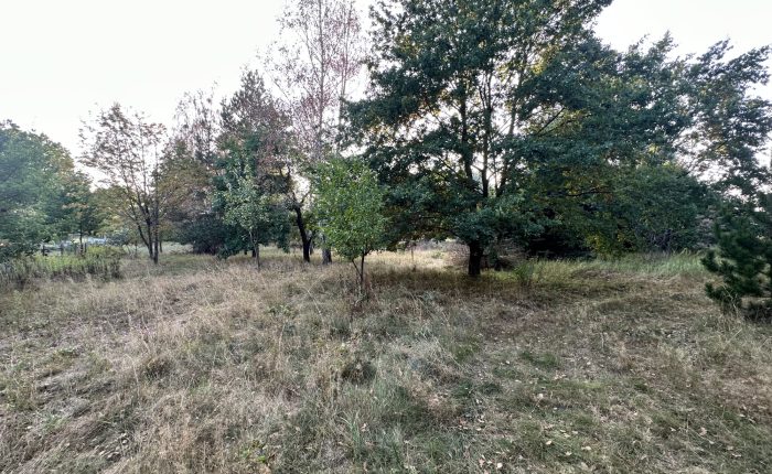 85654865_raw