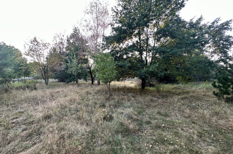 85654865_raw