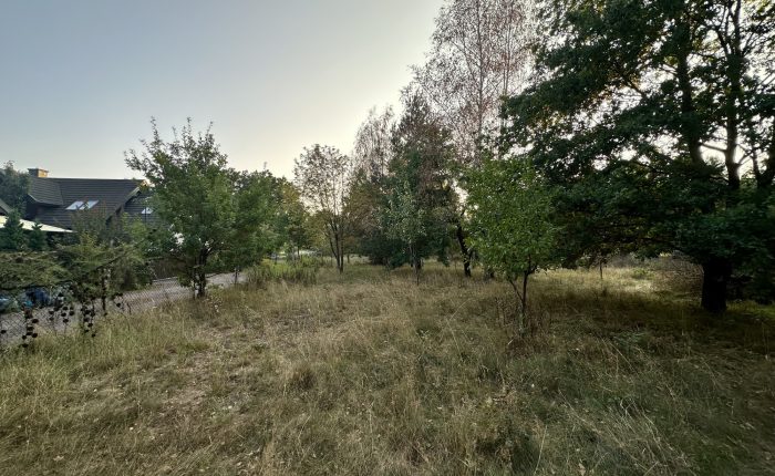 85654877_raw