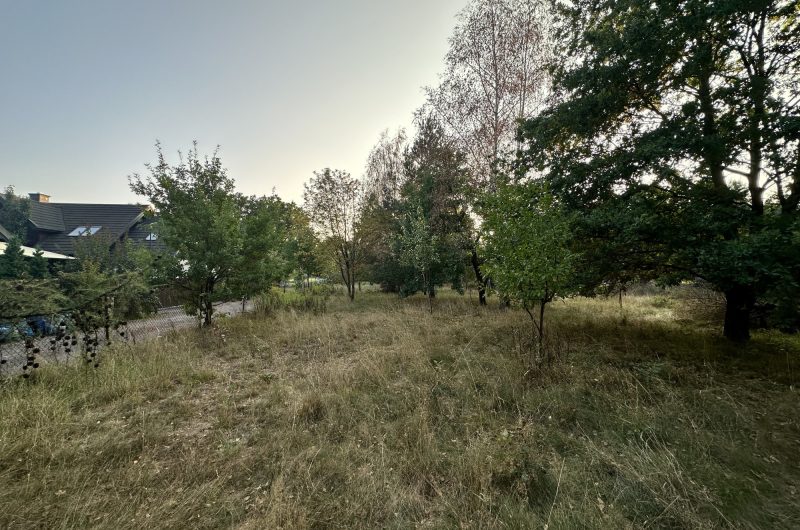 85654877_raw